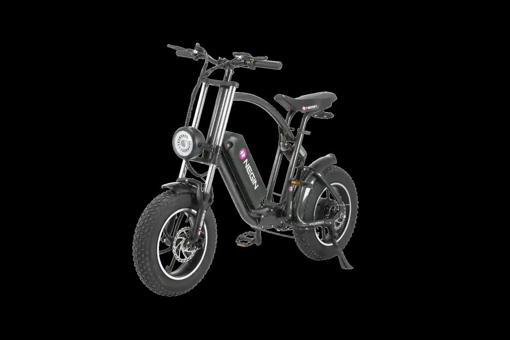دوچرخه برقی نگین مدل PD250